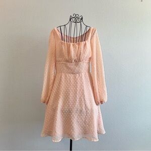 Long Sleeve Swiss Dot Chiffon Dress in Blush